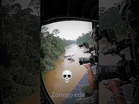 all animal... troll.. ☠️