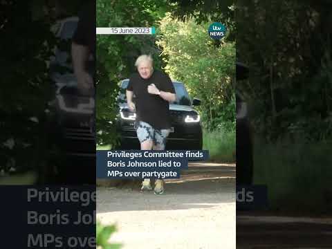 Privileges Committee finds Boris Johnson lied to MPs over partygate #borisjohnson #politics