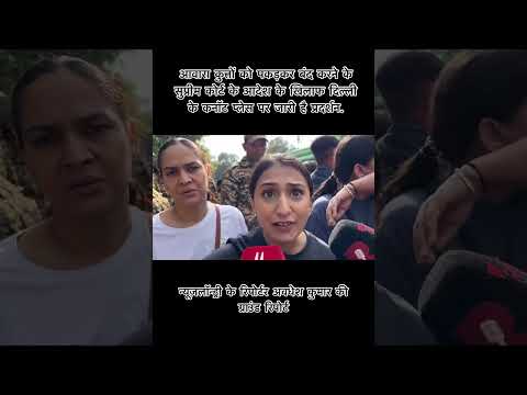 Stray Dogs के लिए सड़कों पर उतरे लोग