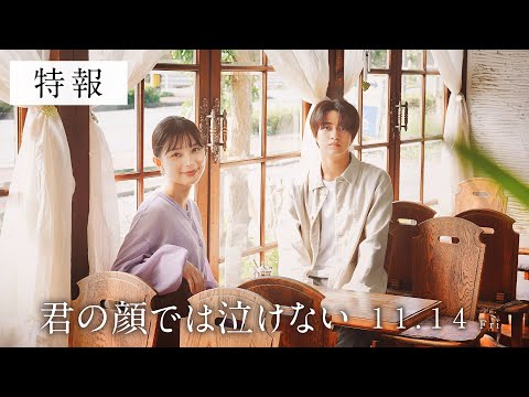 11.14公開　映画『君の顔では泣けない』特報