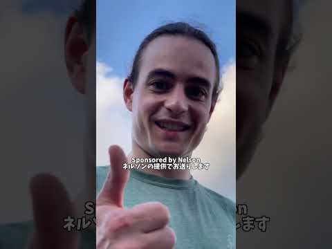 冬の到来を教えてくれるわが窯の猫の毛。ついに今年もこの季節が来た!#銀河釉 #ねこのいる生活 #ネルソン監督 #陶器市 #ねこ