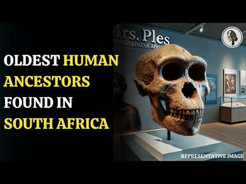 Fossils Reveal Humanity's Ancestors Are 1 Million Years Older Than Thought | WION Podcast
