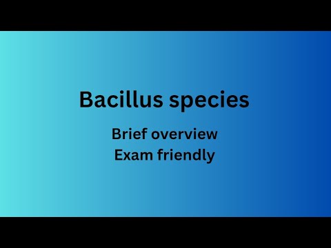 Bacillus species || Quick overview and exam friendly 