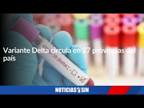 Variante Delta circula en 27 provincias del país