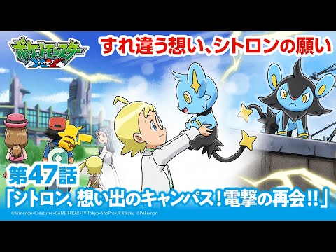 【公式】アニメ「ポケットモンスター XY」第47話「シトロン、想い出のキャンパス！電撃の再会！！」（アニポケセレクション）