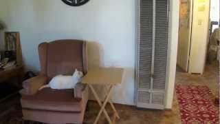 California Style Gas Wall Heater You