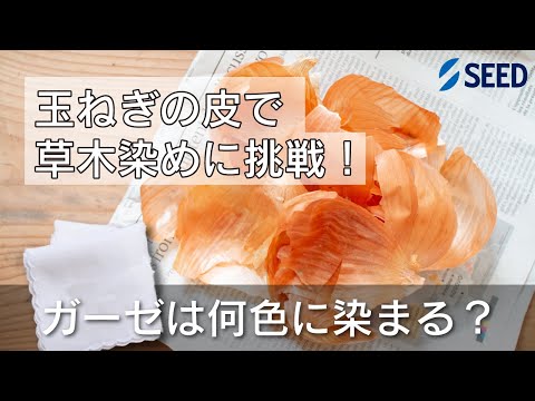 草木染めに挑戦してみよう！【コンタクトレンズのシード/理科実験】
