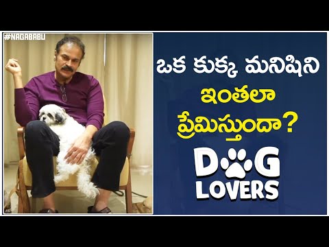 Mega brother Naga Babu lovely words on dogs Mega brother Naga Babu lovely words on dogs