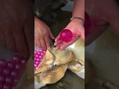 Collecting enchanting pearls in the wilderness river area