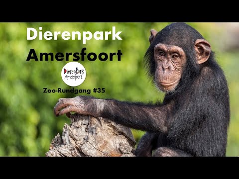 Dierenpark Amersfoort 2025 | Zoo-Rundgang #35
