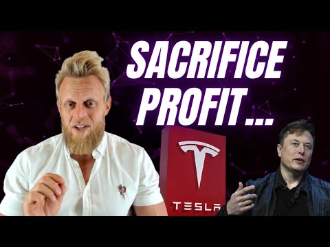 Elon Musk reveals Tesla's strategy over the next 12 months