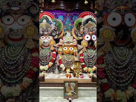 जय जगन्नाथ ❤️🌸#jagannath #jaijagannath #krishnastatus #lordkrishna #short