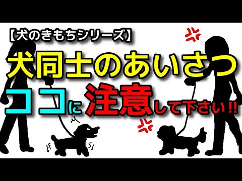 【犬 散歩 あいさつ】これやっていませんか？犬同士近づける時に注意すること！犬のしつけエマチャンネル【犬のしつけ＠横浜】