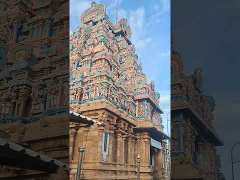World’s Largest Temple 🛕 Sri Ranganatha Swamy Temple | Srirangam, Tiruchirappalli 🇮🇳 #Shorts
