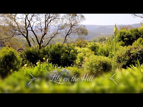 Vidéo de l’hébergement