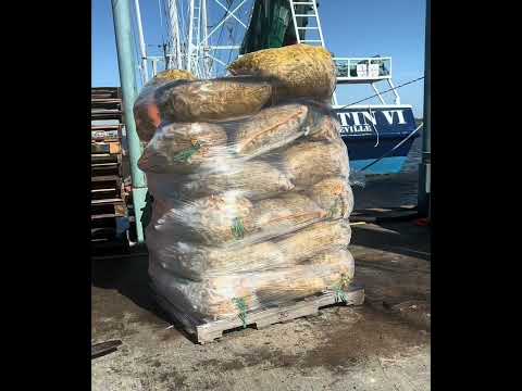 CÓ CÔNG VIỆC ỔN ĐỊNH,LÀ MỘT PHƯỚC LÀNH#hạnhphúcvàthànhcông #vothuyhong #lamchucuocdoi #phụnữhiệnđại