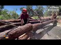 Severe Storm Leaves Trail Of Damage In Australias West | News9  - 01:32 min - News - Video