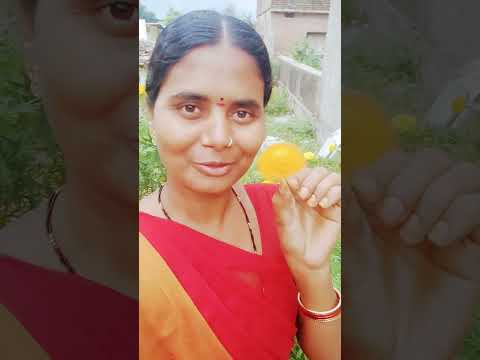 సేమ్ బంతిపూలు