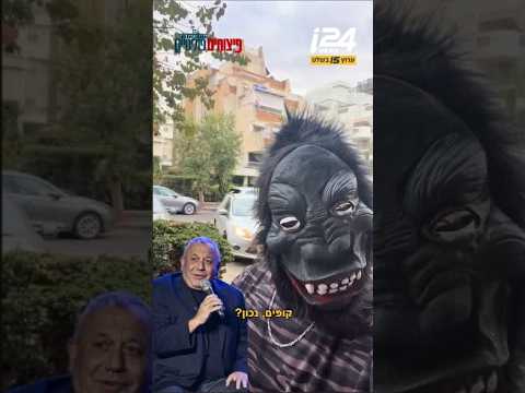שום דבר לא בטעות: האמת מאחורי סערת "הקוף"