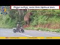Elephant enters forest after following watchman words, video goes viral