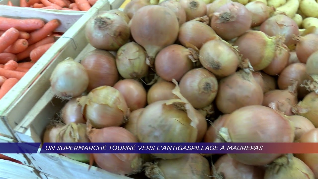 Yvelines | Malin, le supermarché à bas prix et antigaspillage de Maurepas