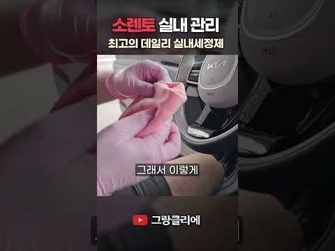 소렌토 실내세차 참 쉽습니다. 세정제를 맑고 깨끗한 제품으로 사용하면 됩니다! #shorts