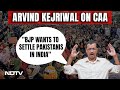 CAA Update | BJP Wants To Settle Pakistanis In India: Arvind Kejriwal On CAA Implementation