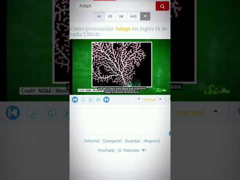 ¿Cómo se pronuncia "Adapt"? #inglés #adaptar #pronunciación #teacher #aprenderingles #inglesfacil