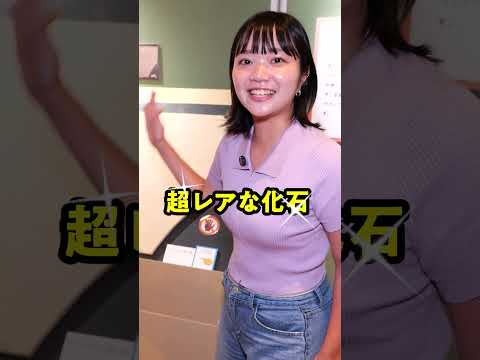 足跡の化石⁉️なんで残ったの…🐾 #shrots