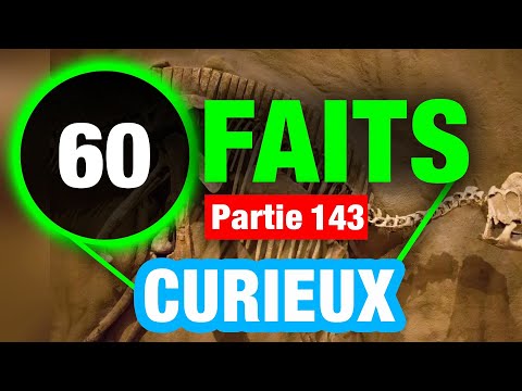 60 Faits Captivants Difficiles À Croire