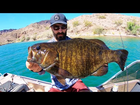 The SMALLMOUTH BASS of my DREAMS!!