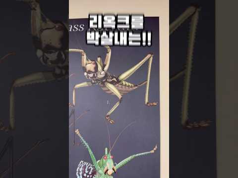 세계 괴물 여치5종?! 이런 미친 굿즈가 다 있어?! #여치 #리옥크 #사가 #사가에피피게라 #북경여치 #악마여치 #스피노사 #사마귀 #외국곤충 #체어맨티스