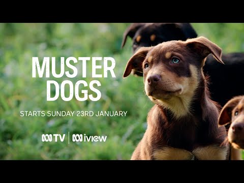 Muster Dogs'