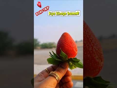 Road trip pe humne kya kya khaya 🍓🍍🍊| rasalkhaimah to fujairah drive #shorts #travel