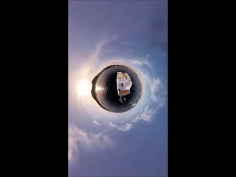 Nadar con delfines en el Mar Rojo