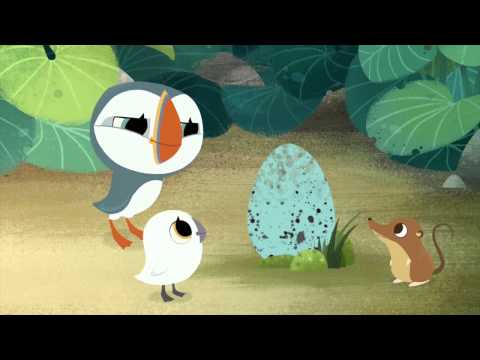 Puffin Rock'