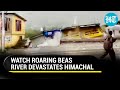 Fury of the Flood: Beas River's Wrath Devastates Himachal