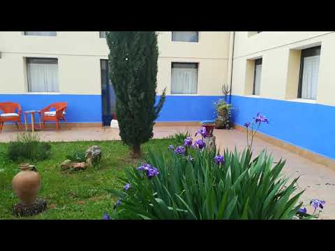 Property video
