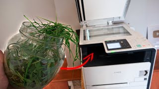 What happens if you photocopy Grass