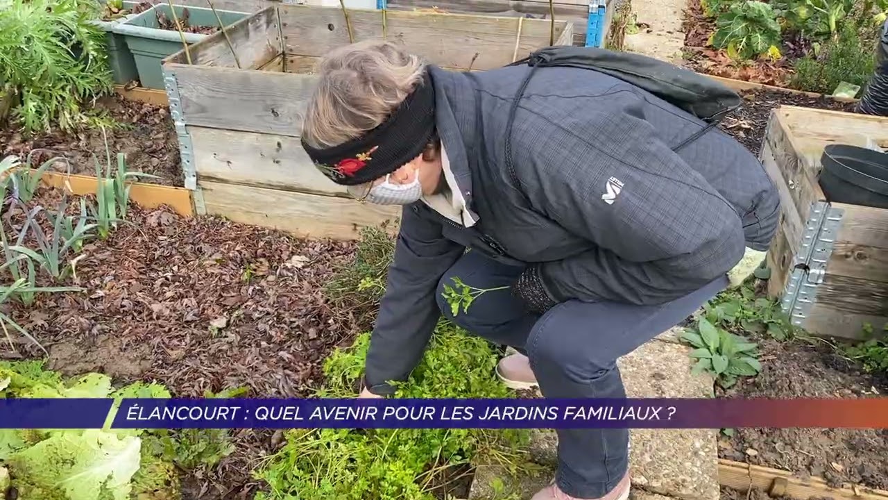 Yvelines | Quel avenir pour les jardins familiaux à Elancourt ?