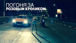 Дмитрий Ковпак - Погоня за розовым кроликом