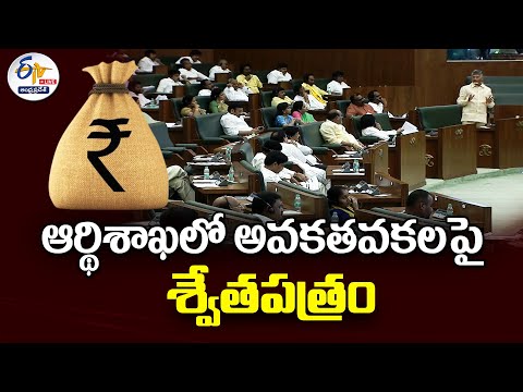 CM Chandrababu releases White Paper on Illegalities in Finance dept