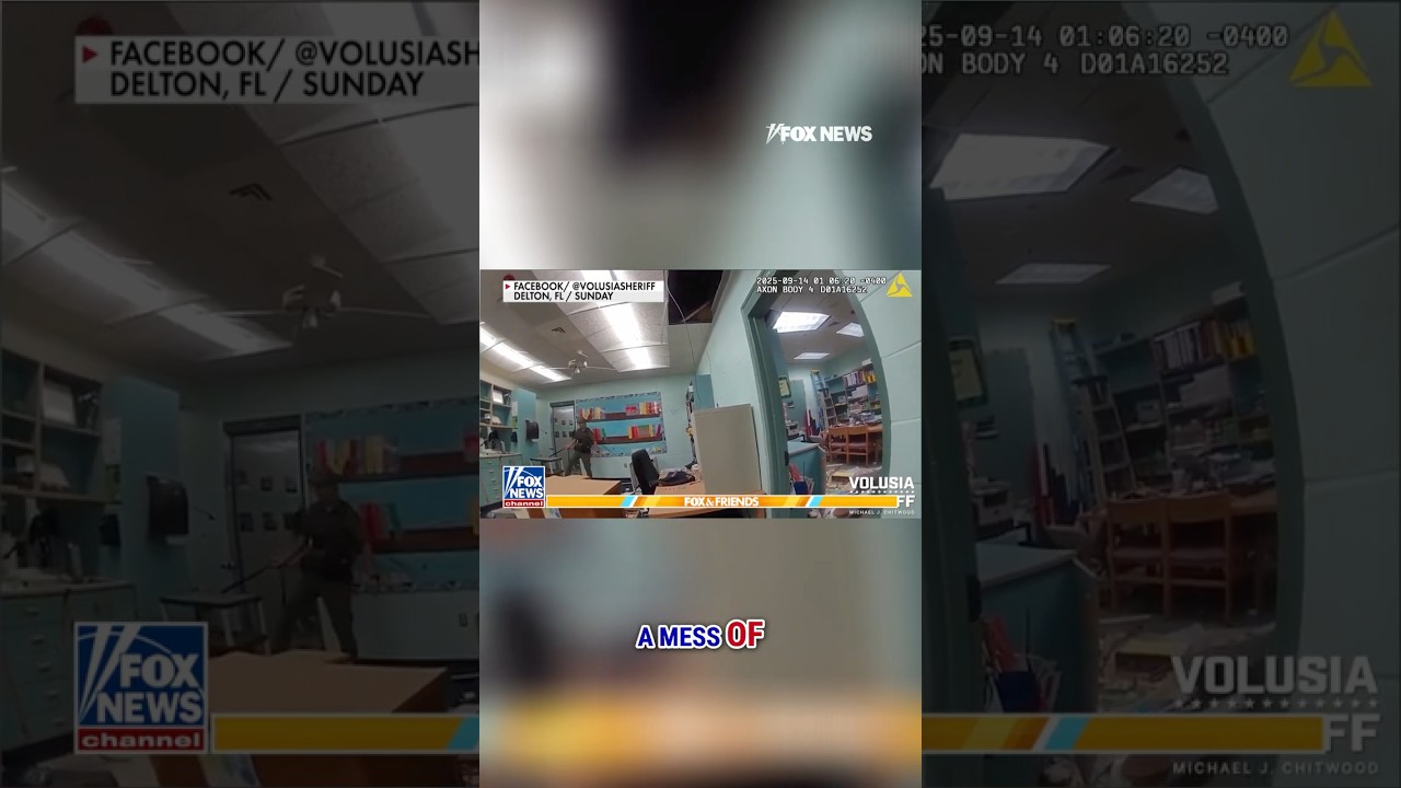 WATCH: Police respond with guns drawn after boys DESTROY school library #shorts #us #florida #school