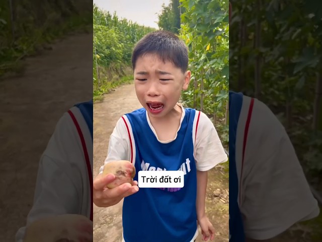 Em trai tôi ăn phải trái cây có côn trùng