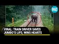 'Super hero loco pilot' slows train; saves elephant's life on tracks; Internet loves it