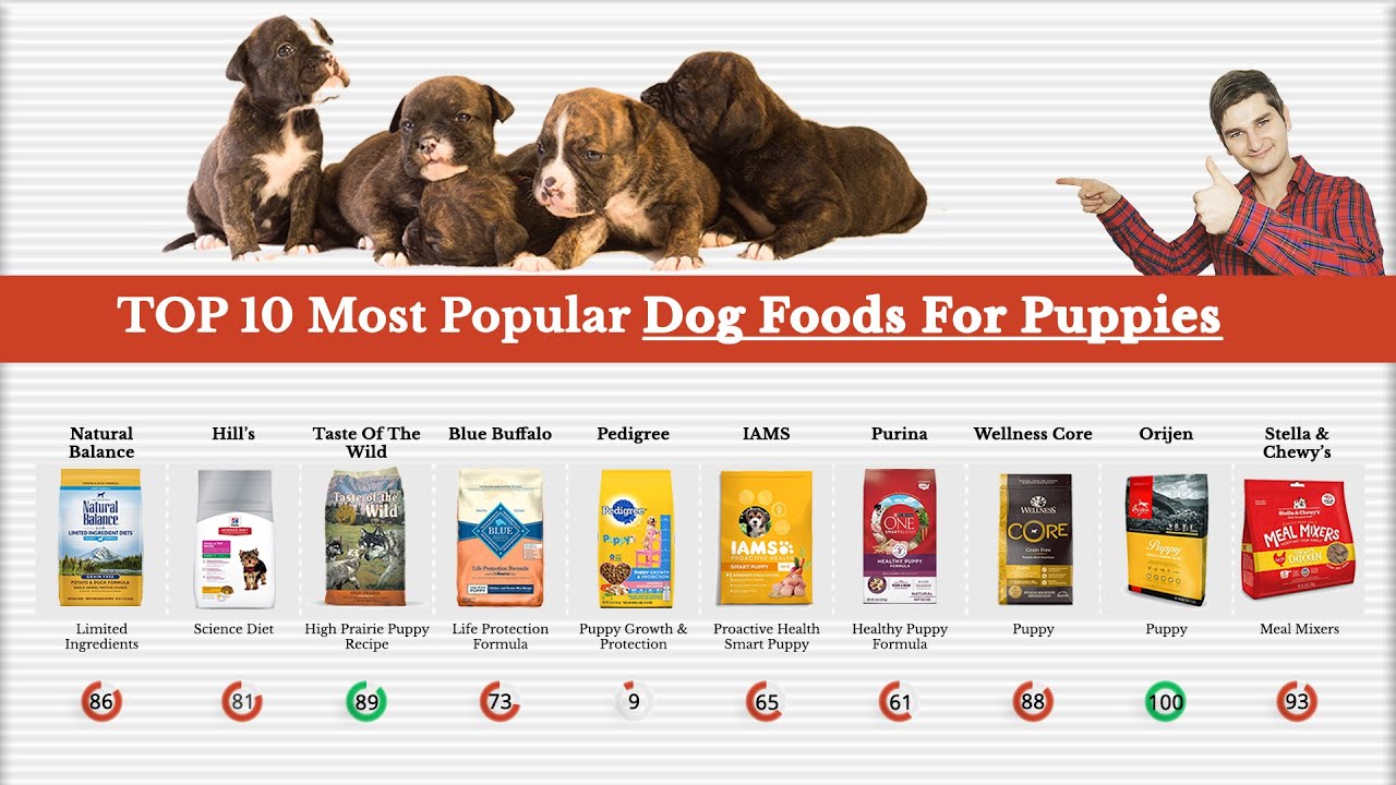 Natural diet for puppies
