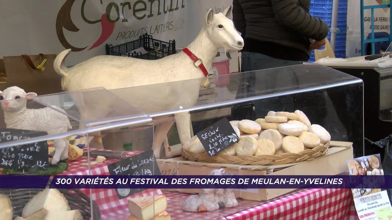 Yvelines | 300 variétés au Festival des Fromages de Meulan-en-Yvelines