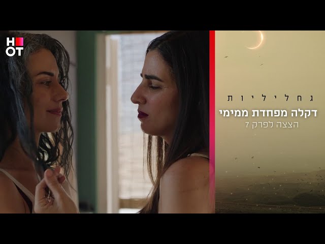איזה רגש אני מעוררת אצלך? - הצצה לפרק 7 | גחליליות