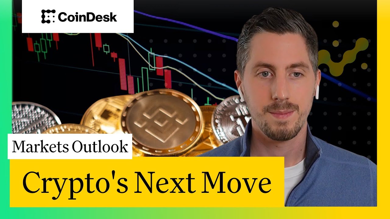 Where Retail Investors Are Chasing Momentum