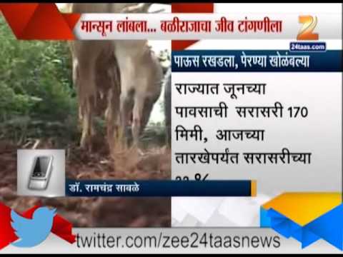 राज्यावर अस्मानी संकट: पाऊस रखडला, पेरण्या खोळंबल्या
